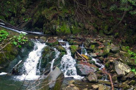 Beautiful mountain waterfall among the rocks and coniferous forest. Ukraine, the Carpathian Mountains. Mountain landscape.の写真素材