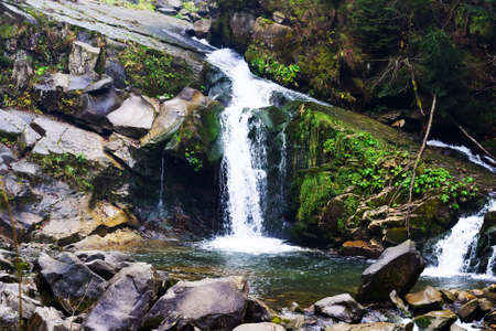 Beautiful mountain waterfall among the rocks and coniferous forest. Ukraine, the Carpathian Mountains. Mountain landscape.の写真素材