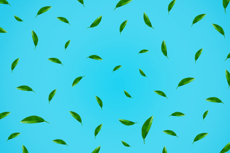 Blue background with lemon leaves. Backgrounds Textures.の写真素材