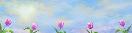 Beautiful tulips on the sunny cloudy sky. Spring background. Happy spring banner. Floral background. Background.の写真素材