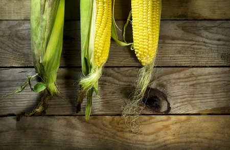 Ripe cobs of corn on the wooden background