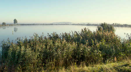 Misty sunrise over a lake on a summer morning. Fishingの写真素材