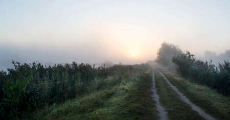Misty sunrise over the road along the lake on summer morning.の写真素材