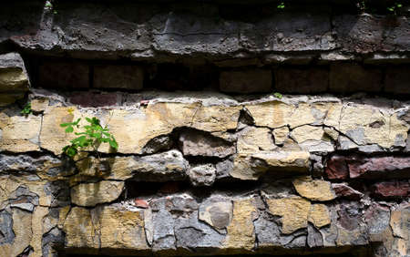 Old concrete wall with cracks. Grunge background. Textureの写真素材