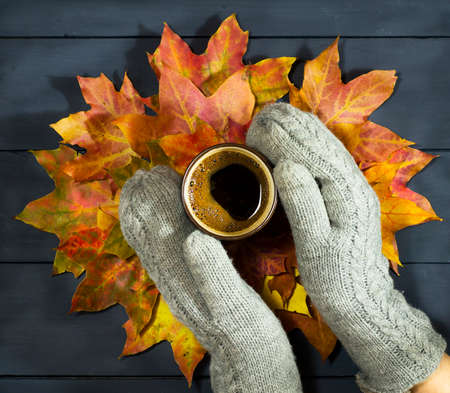Her hands in mittens holding a cup of coffee on the background of autumn leaves. Blue wooden backgroundの写真素材