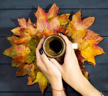 Her hands are holding a cup of coffee on the background of autumn leaves. Blue wood backgroundの写真素材