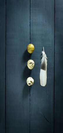 Quail eggs with feathers on the table of the old blue wooden boardsの写真素材