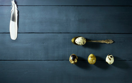 Quail eggs with feathers on the table of the old blue wooden boardsの写真素材