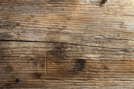 The texture of the wood. Paul. birchの写真素材