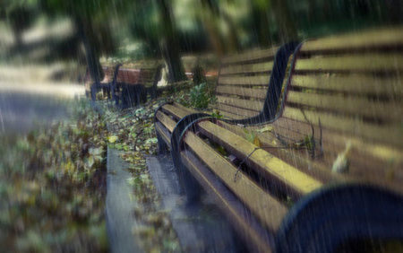 Bench in the autumn. Rainy park. Autumn background. Seasons autumn