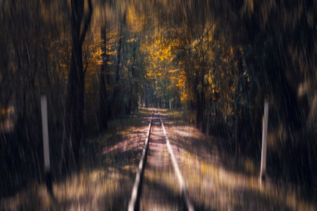 Railway leaving in the autumn forest. Rain. Autumn background. Seasons. Autumnの写真素材