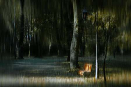 Bench in the autumn. Rainy park. Autumn background. Seasons autumnの写真素材