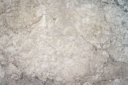 Texture of a gray concrete wall. Backgrounds. Texturesの写真素材