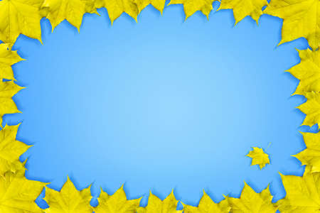 Frame of autumn leaves on a blue background. Copy space. Autumn background. View from above.の写真素材