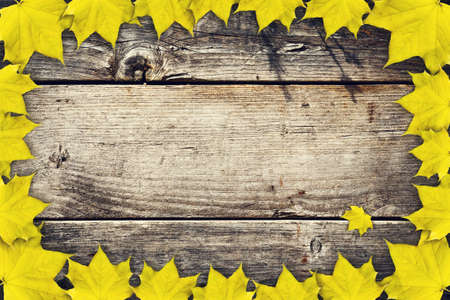 A frame of autumn leaves on a wooden background background. Copy space. Autumn background. View from above.の写真素材