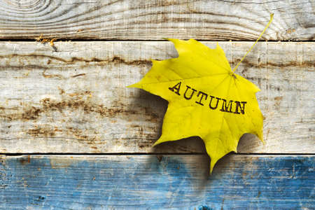 Yellow leaf with an inscription Autumn on a wooden background. Copy space. Autumn background.の写真素材