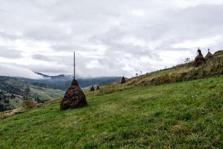 Haystack in a meadow among the mountains. Agriculture. Landscape.の写真素材