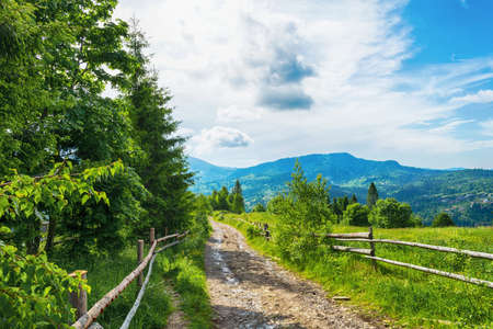 Mountain, dirt road, among beautiful mountains. The Carpathians. Ukraine Travels Relaxationの写真素材