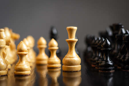 White queen, among the chess pieces. Strategy concept. Victory. Success. Business Lifestyle Backgroundの写真素材