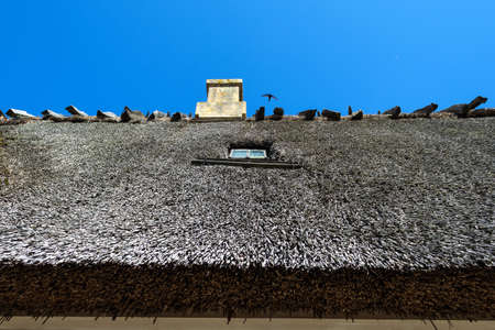 Thatched roof of an old country house. Close-up. Architecture. Details