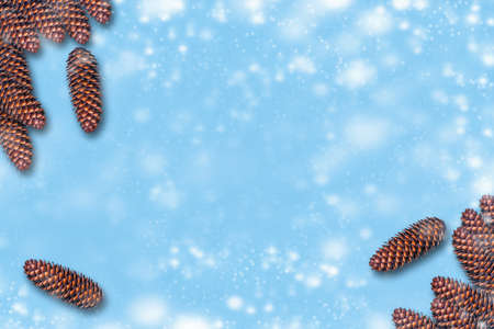 A lot of cones on a blue background. Copy space. Place for text. New Year. Christmas background. Festive background.の写真素材