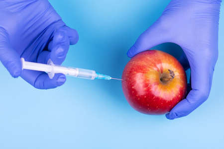 Injection into an apple. A hand in a medical glove with a syringe on a blue background. Genetic modified foods. Injection of GMOs.の写真素材