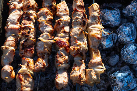 Barbecue on the grill. Picnic. Close-up. Rest in nature. Cooking meat in the open air. Food.
