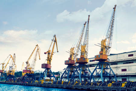 Port cranes on a sunny day. Export. Logistics and transport. Cargo transportationの写真素材