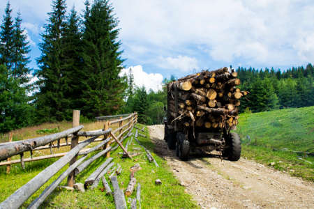 Truck transportations a felled forest in the mountains. Nature. Deforestation.の写真素材
