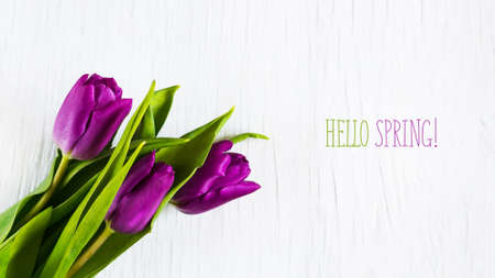 Beautiful tulips against white wooden background. The inscription Hello spring. Copy space. Greeting cardの写真素材
