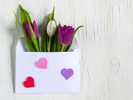 Beautiful tulips in mail envelope. Copy space. White wooden background. Mother's Day, Happy Women's...