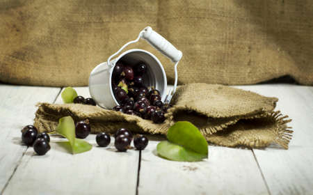 Black currants in a metal bucket on a white wooden background