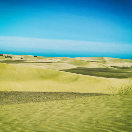Sand dunes in the desert. Blue sky. Square orientation. Natural background.の写真素材