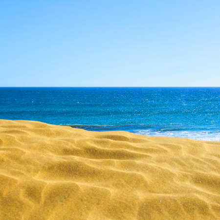 Sandy coast of the ocean. Square orientation. Natural background.の写真素材