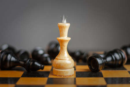 White queen, among the chess pieces. Victory concept. strategy. Victory. Success Business Lifestyle Backgroundの写真素材