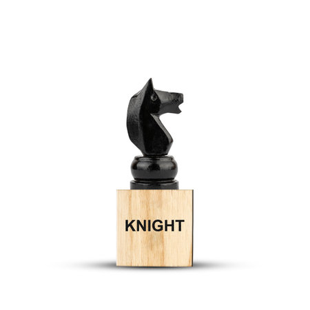 Black Chess Horse, on a wooden block. isolated on a white background. side view. The game. training. Education. design element.の写真素材