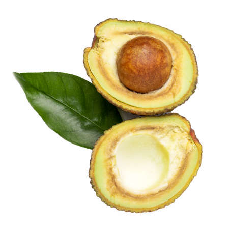 Half and whole avocado, with leaf, isolated on white background. Top view Berries.の写真素材