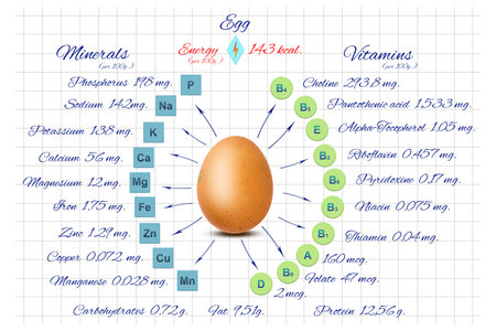 Vitamins and minerals of a chicken egg. Information on a white notebook sheet. Healthy food. Diet. Sport. Proper nutrition. Lifestyle.の写真素材