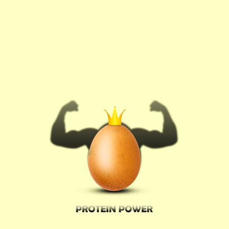 Chicken egg in a crown casts a shadow with biceps. Protein source. Sport. Healthy food. Diet. Proper nutrition. Lifestyle.の写真素材
