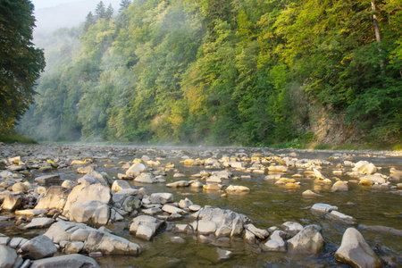 Beautiful mountain river at dawn, fog. Ukraine. The Carpathians. Travels. Rest in nature Natureの写真素材