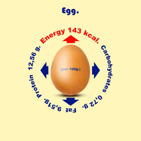 Chicken egg, Energy, Fats, Calories, Proteins, and Carbohydrates. Scheme Sport Healthy food Diet Proper nutrition Lifestyleの写真素材