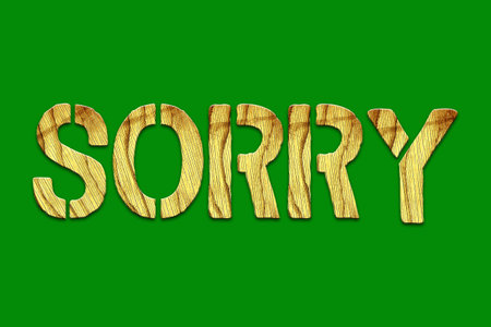 Sorry. Word from wooden letters. On a green background. Lifestyle.の写真素材