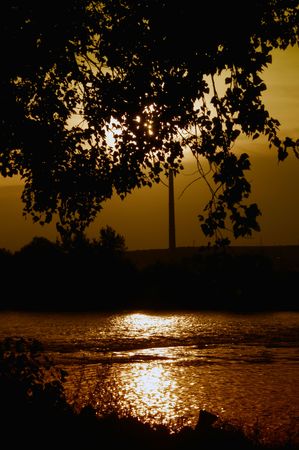 A river sunset with black treeの写真素材
