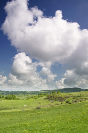 Beatiful skies and greenfieldの写真素材