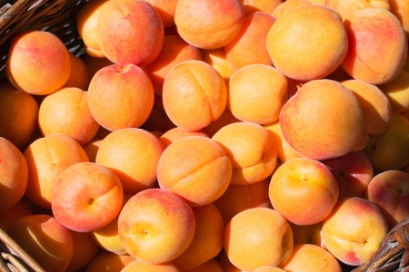 Detail of delicious fresh apricots in basket  Shallow DOF の写真素材