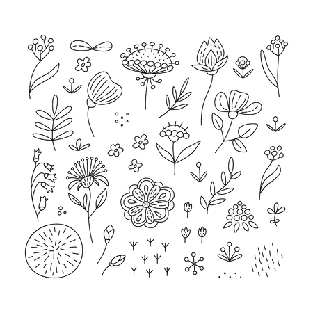 Hand drawn floral elements set. Perfect vector design elements for decorations, floral pattern, wrapping paper, greeting cardのイラスト素材