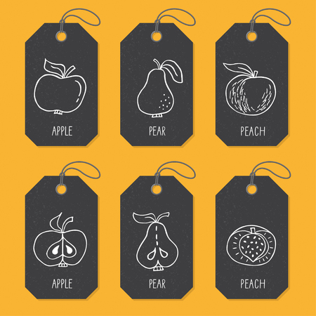 Set of tags or label templates with hand drawn fruit. Vector design elements for agriculture and food industryのイラスト素材