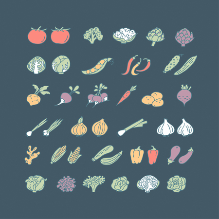 Vegetables hand drawn icon set in flat style. Perfect colorful vector design elements for decorations, organic food pattern, wrapping paper, bioproducts wallpaperのイラスト素材