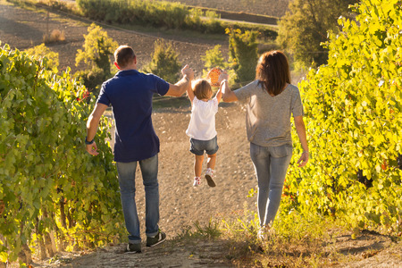 rear view of two adults playing by lifting a small girl by the arms and walking downhill in a vineyard, sunny day, summerの写真素材