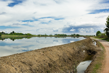 Irrigation channel and dirt road along irrigated rice fieldの写真素材